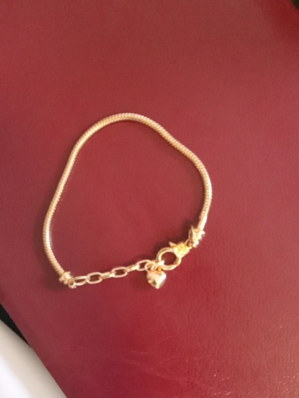 Gold Tone Snake Chain Bracelet